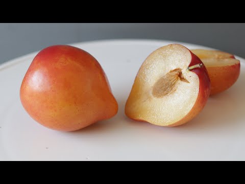 All About the Lemon Plum