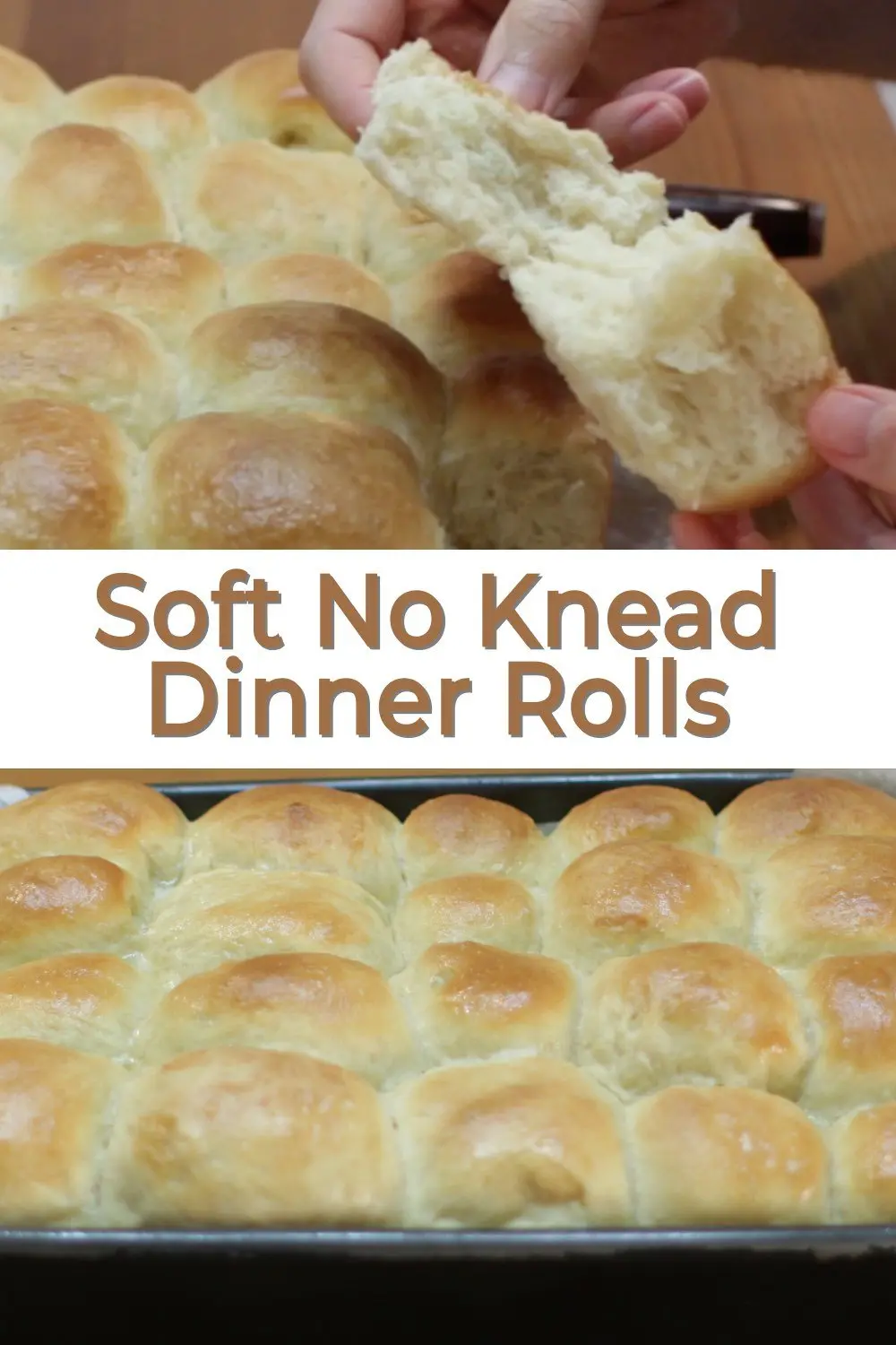 Soft No Knead Dinner Rolls How to Make Amazing Dinner Rolls