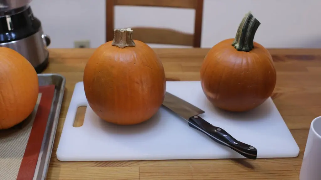 Homemade Pumpkin Puree Recipe In The Kitchen With Matt
