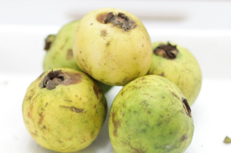 Pile of Mexican Guavas on a white plate.