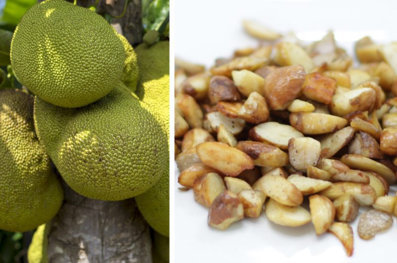 Hanging jackfruit next to jackfruit seeds