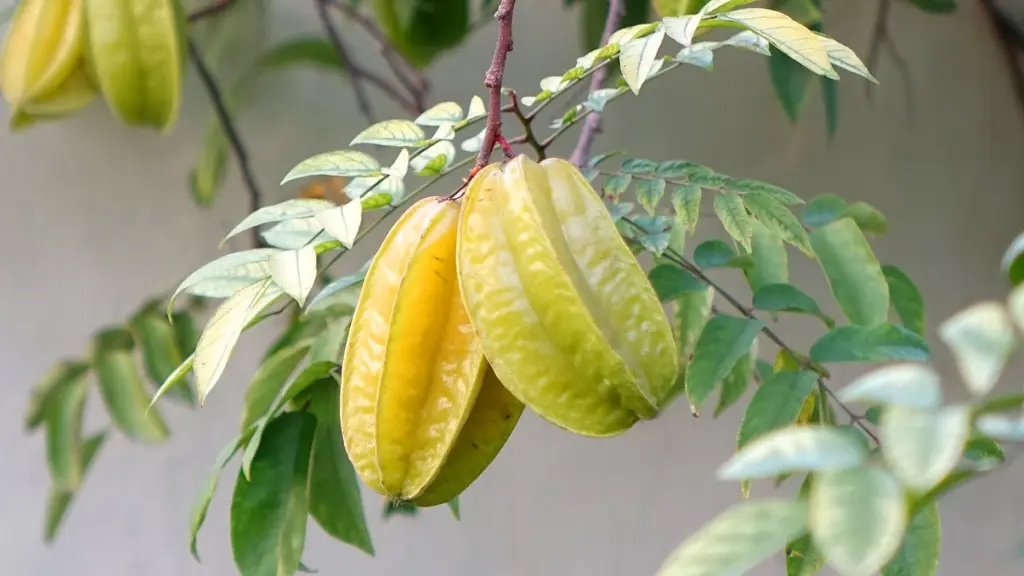 How to Eat Star Fruit