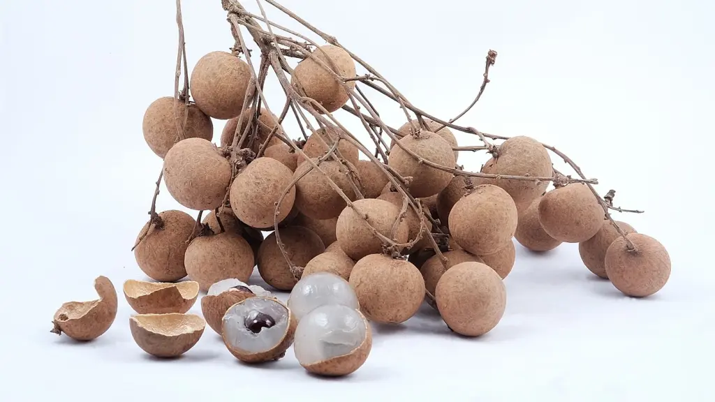 Several longan on a branch on a white counter.