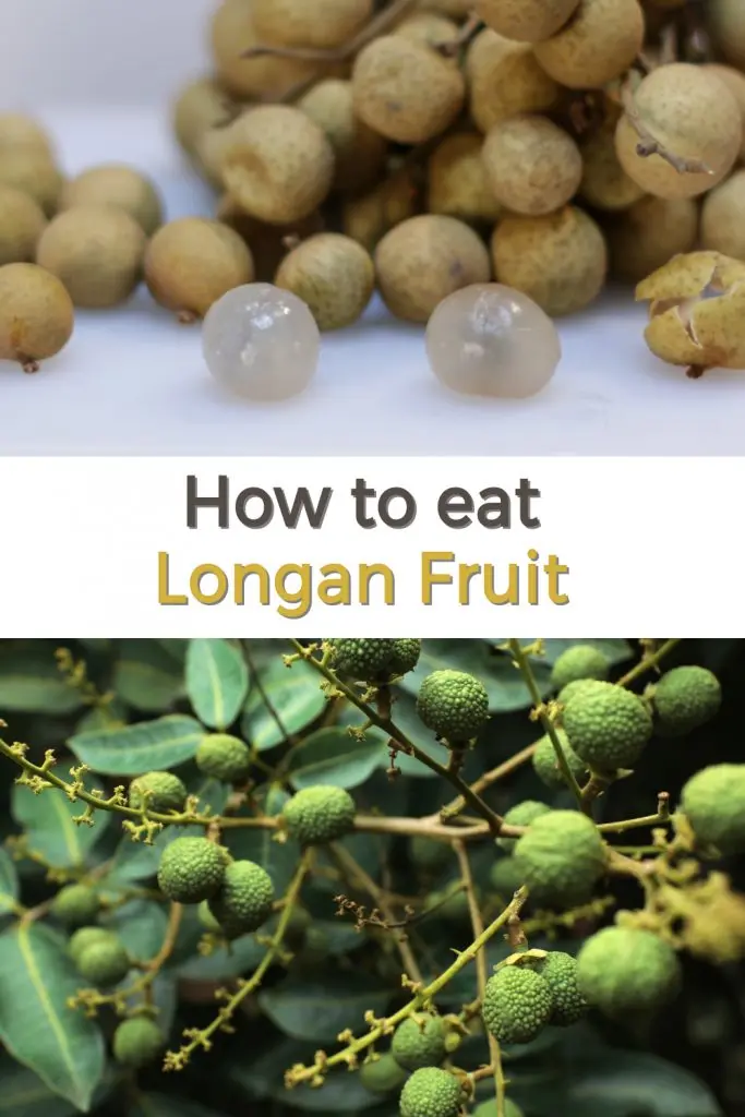 how to eat longan fruit pin for Pinterest