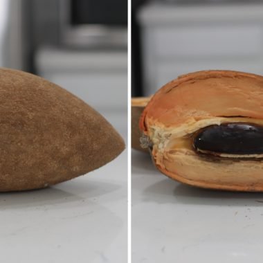 mamey sapote cut open on a counter