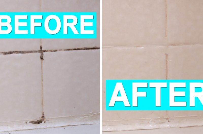 How to Remove Black Mold From Your Shower - Clean Shower Tips