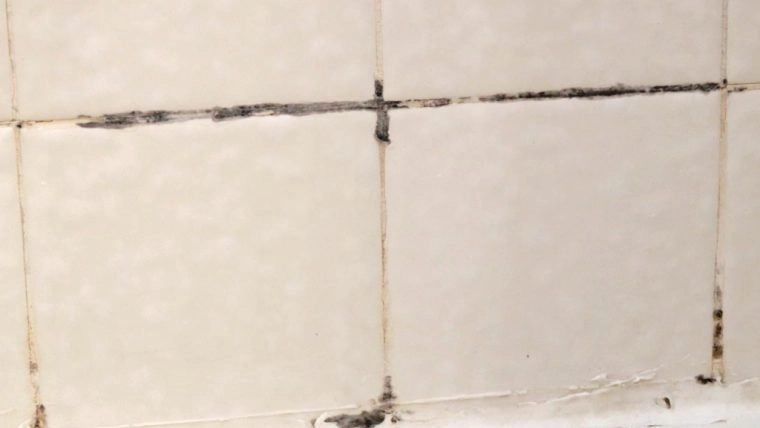 Black Mold In The Shower: How to Clean it | In The Kitchen With Matt