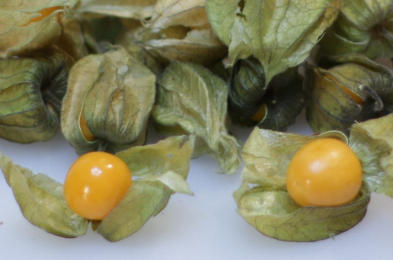 Goldenberries piled on a white cutting board.
