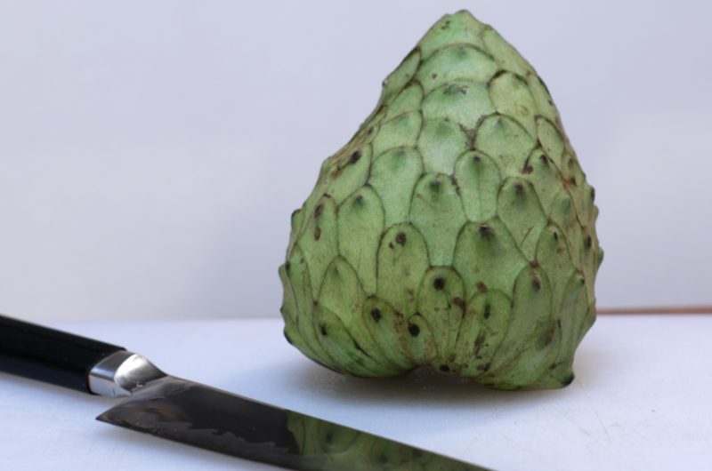Cherimoya clearance