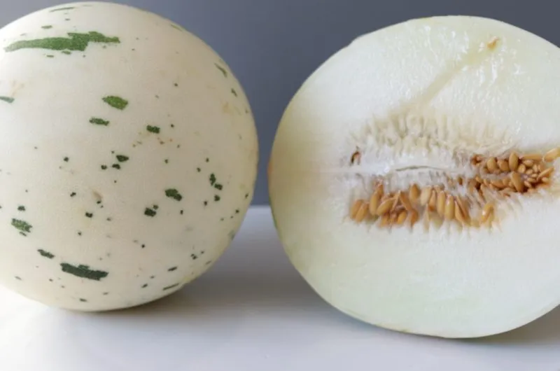 Gaya melon cut in half on a white plate