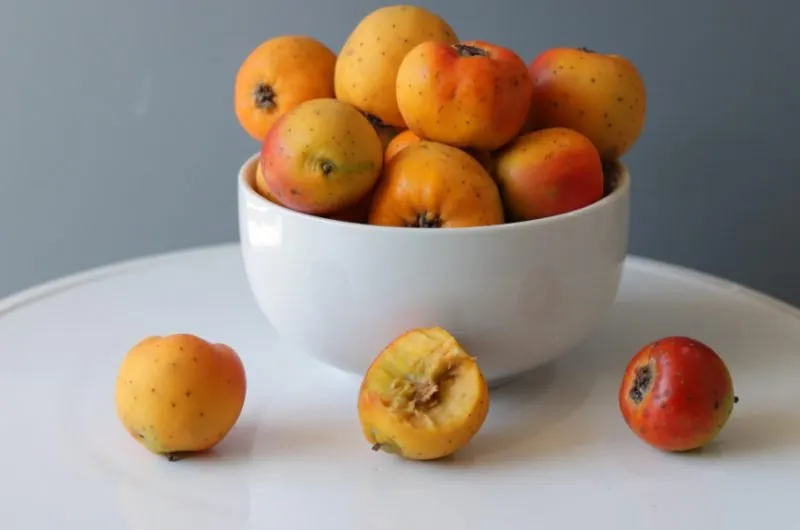 Tejocote fruit piled in a white bowl