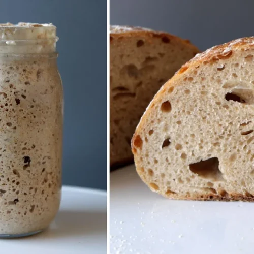 Homemade clearance sourdough starter