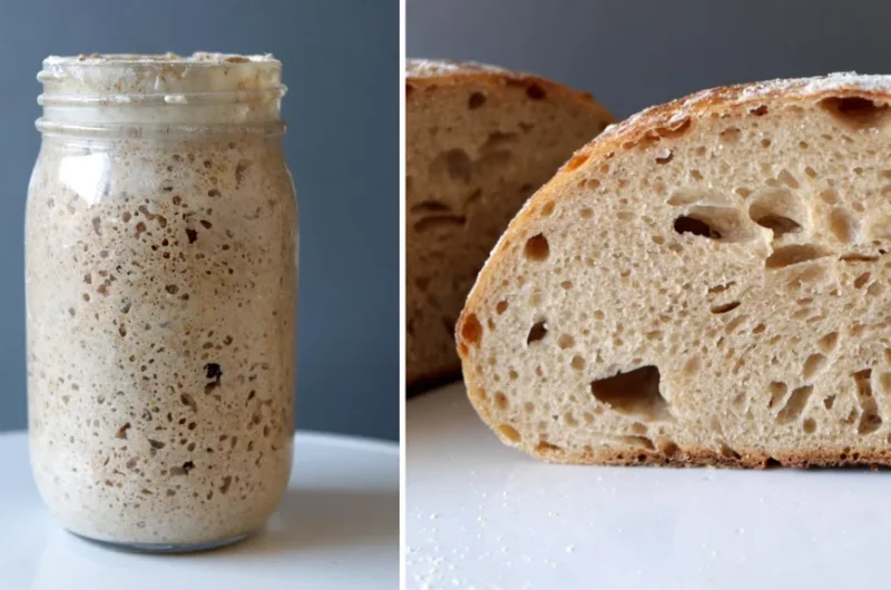 Sourdough starter next to sourdough bread