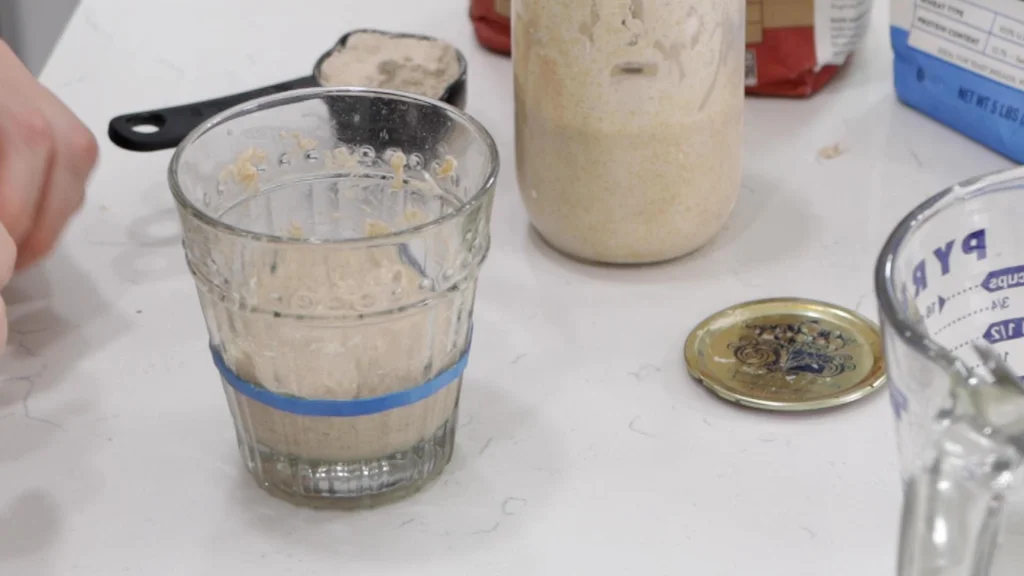 Levain mixed together in a glass with a rubber band around it.