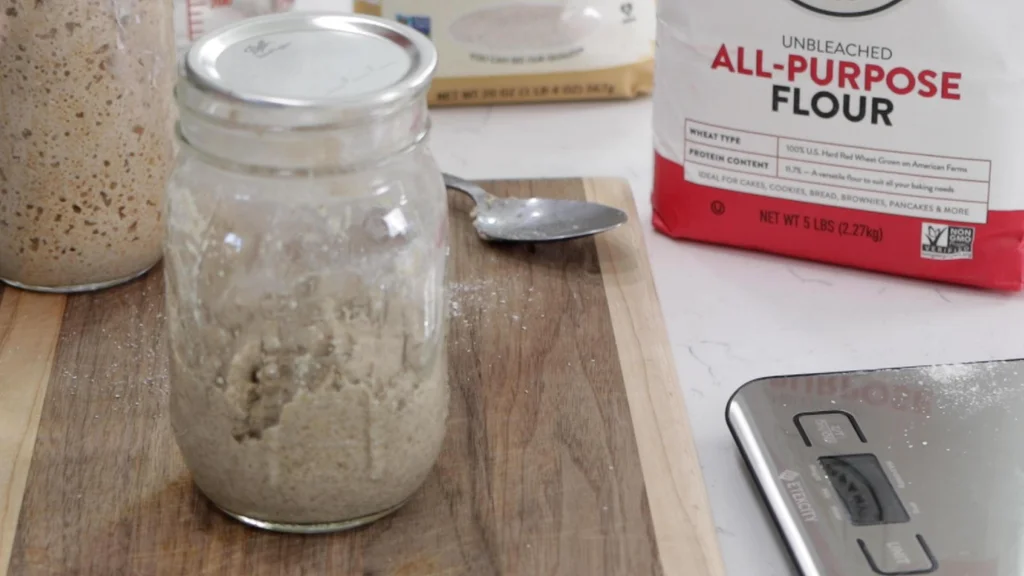 Day one of sourdough starter.
