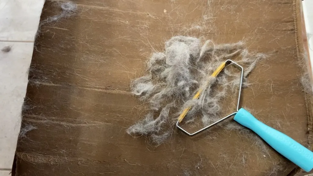 Pile of cat fur next to the uproot clean tool on a kitchen table cushion.