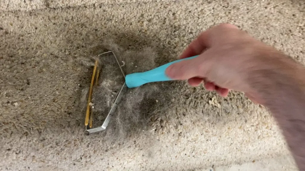 Uproot clean tool cleaning carpet.