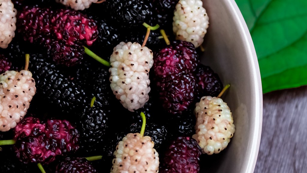 red white and black mulberries in a white bowl.