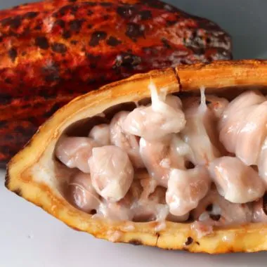 Cacao pod sliced open to reveal the cocoa beans covered in white fleshy fruit.