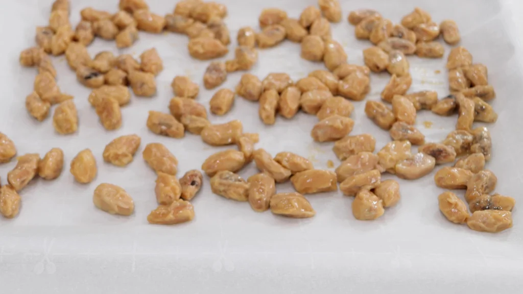 Sheet pan with several fermented cocoa beans on it. Sheet pan with several fermented cocoa beans on it.
