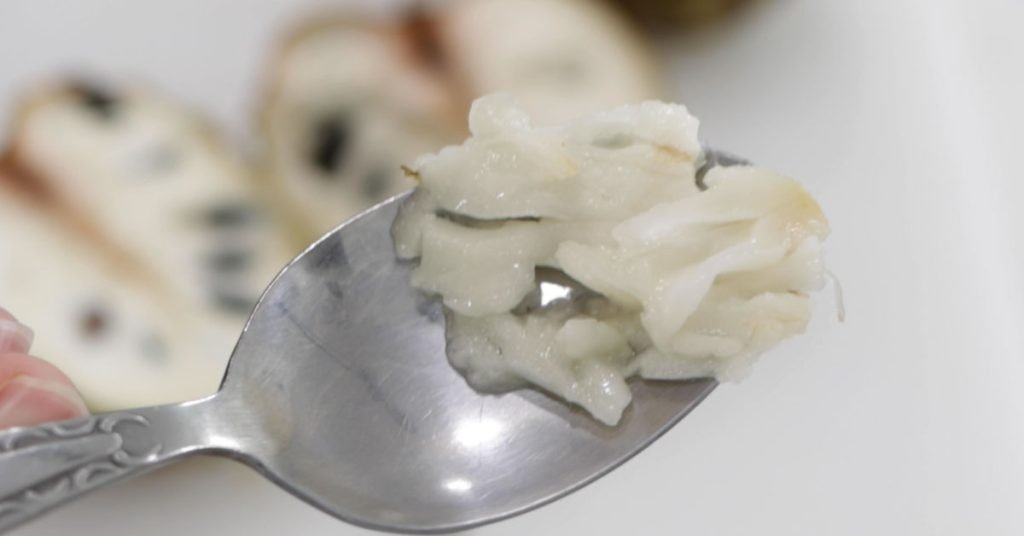 Spoon holding white flesh on it. Spoon holding white flesh on it.