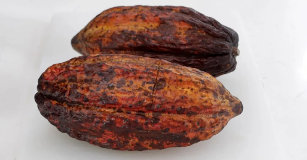 Two whole ripe cacao pods on a cutting board.
